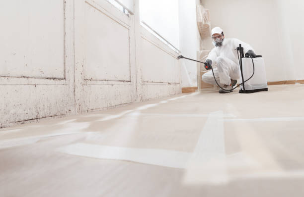 24/7 Emergency Mold Testing experts in Palm Harbor, FL